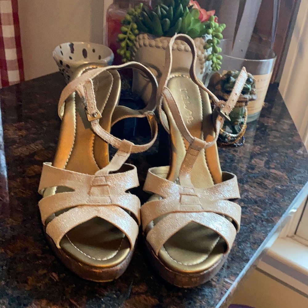 Unusable Distressed Silver Metallic Sandal